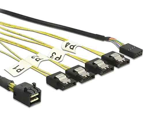 SAS Kabel und Adapter